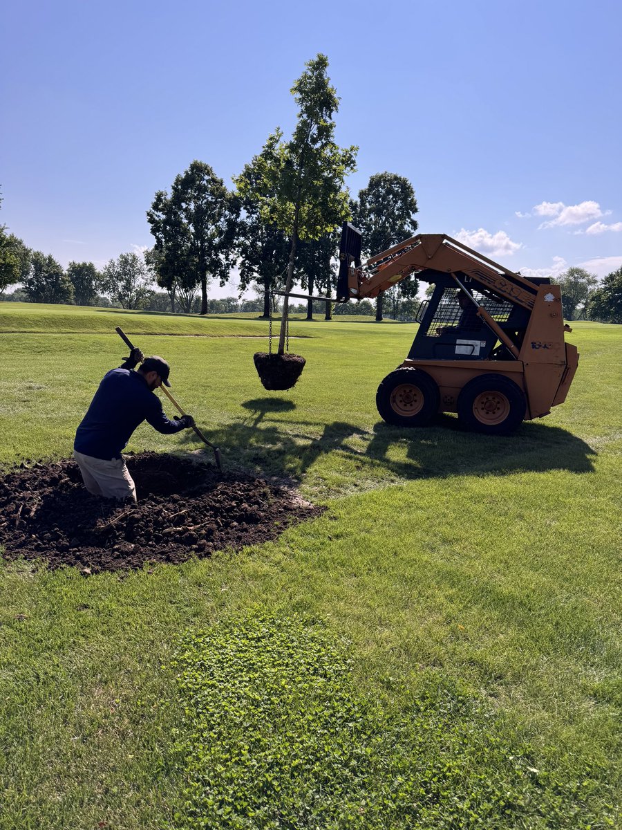 Prefer to be cutting them down but…