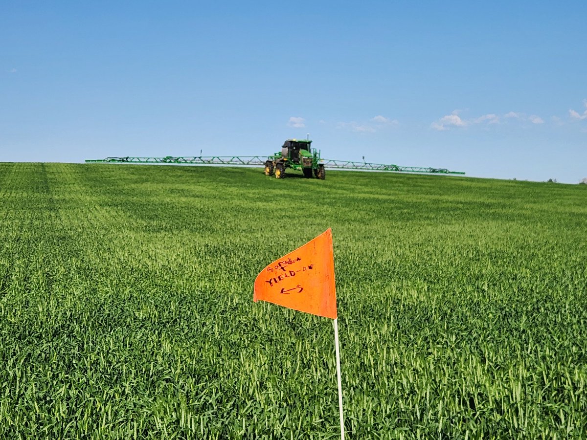 Khaled Bari tweet media