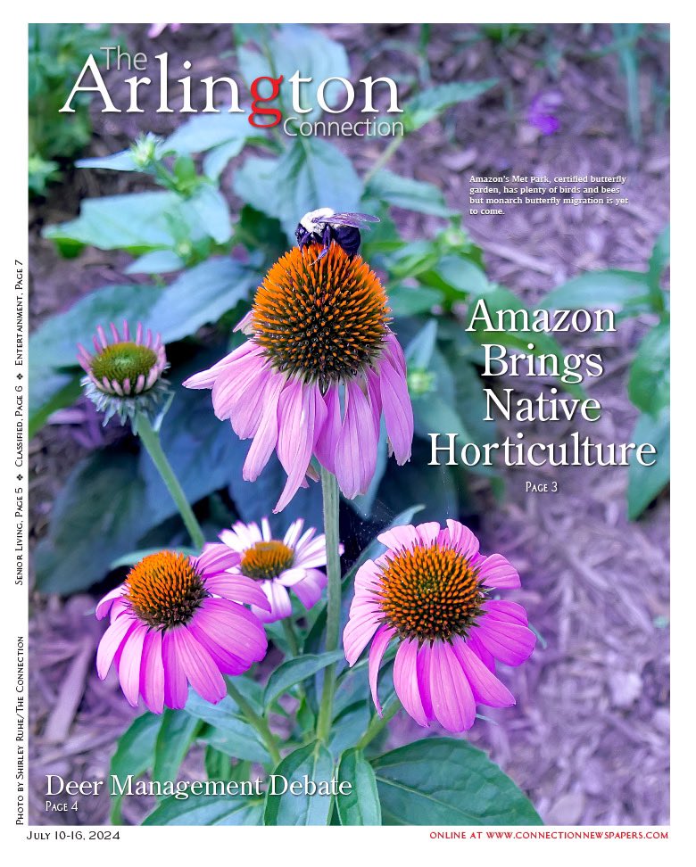 Cover of this week’s Arlington Connection, photo by Shirley Ruhe. Great story about Amazon’s acres of park including certified butterfly habitat. See connectionnewspapers.com/PDFs
