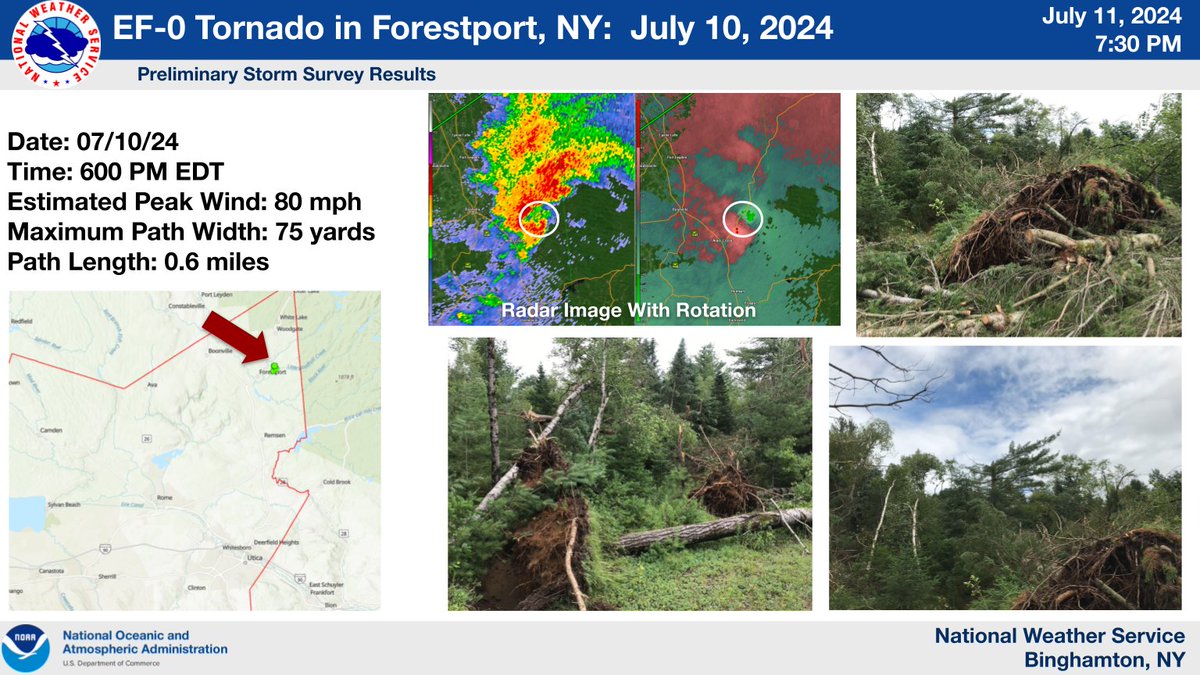 Forestport Weather Roofs Ripped Off, Trees Downed As Rare Tornado Hits