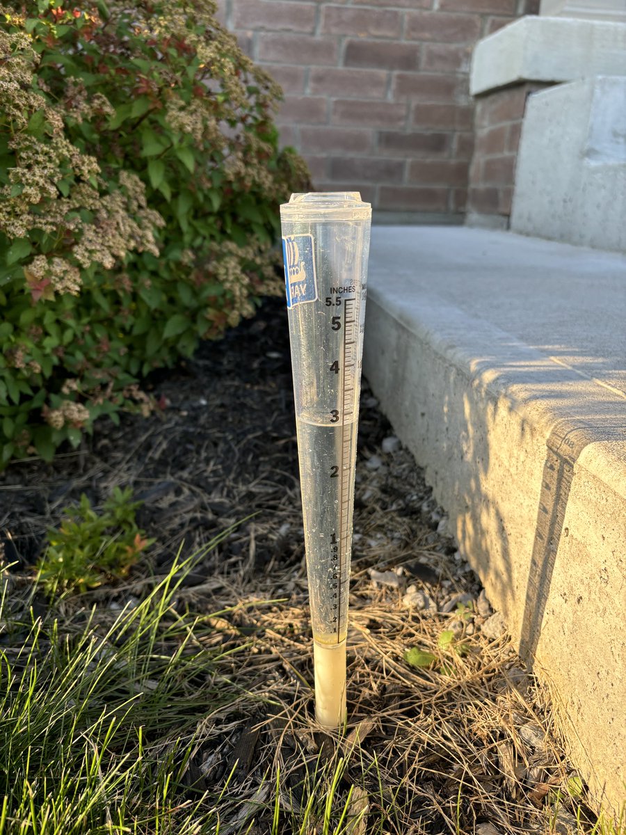 Taylor Jeffery tweet media