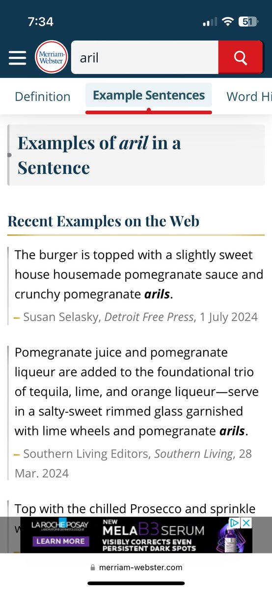 sylvie shaffer tweet media