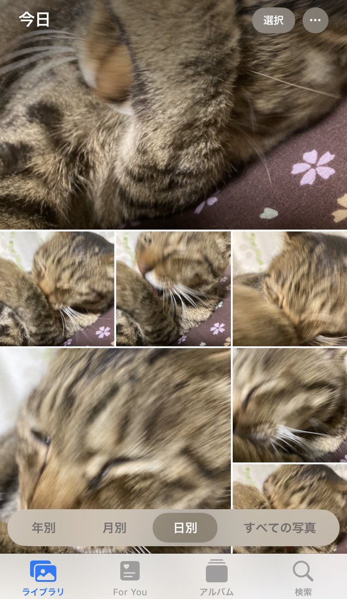 べろっ べろぉ ろぉ〜 