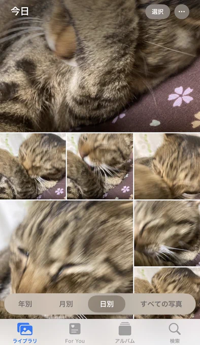 べろっ べろぉ ろぉ〜 