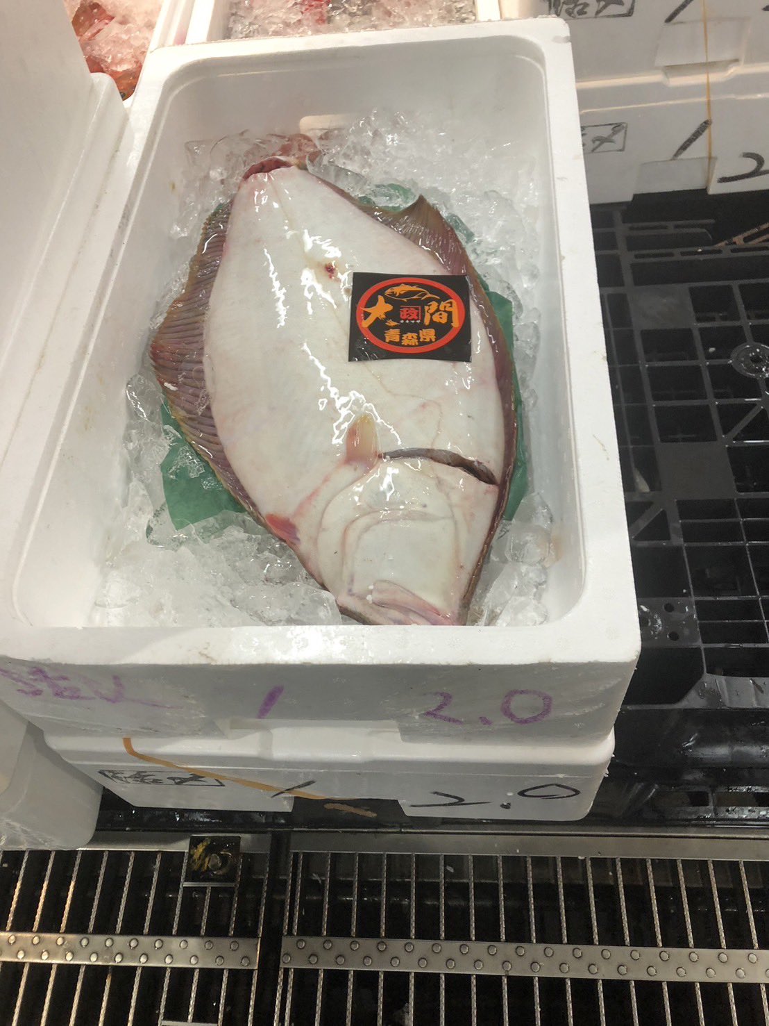 MT エクセル　30-240 paradise 真鯛　ヒラメ MT エクセル30-240 paradise 真鯛ヒラメ