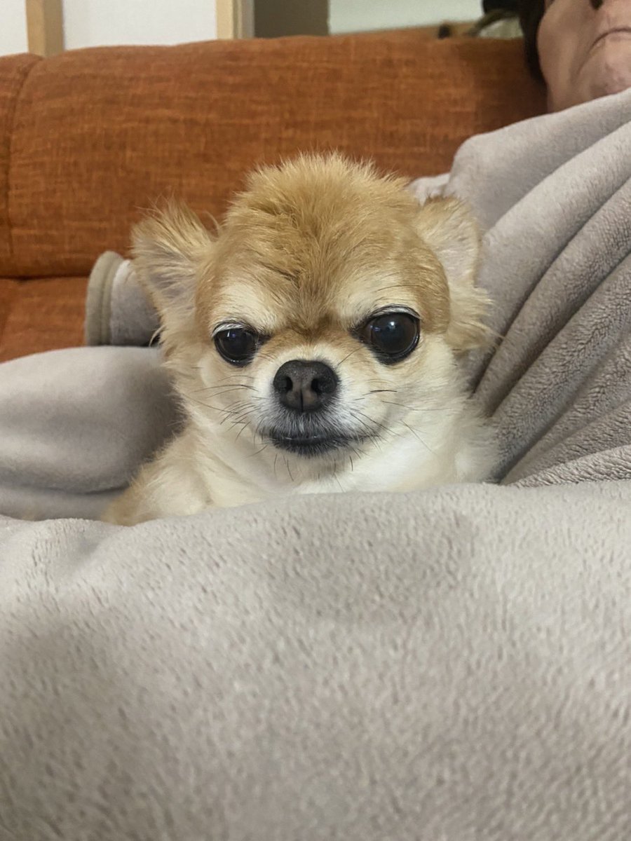 before➡︎after
？？？？？？