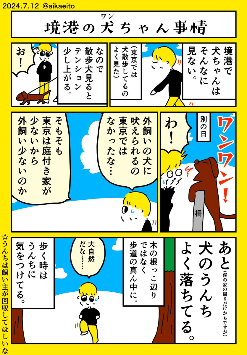 境港の犬ちゃん事情 