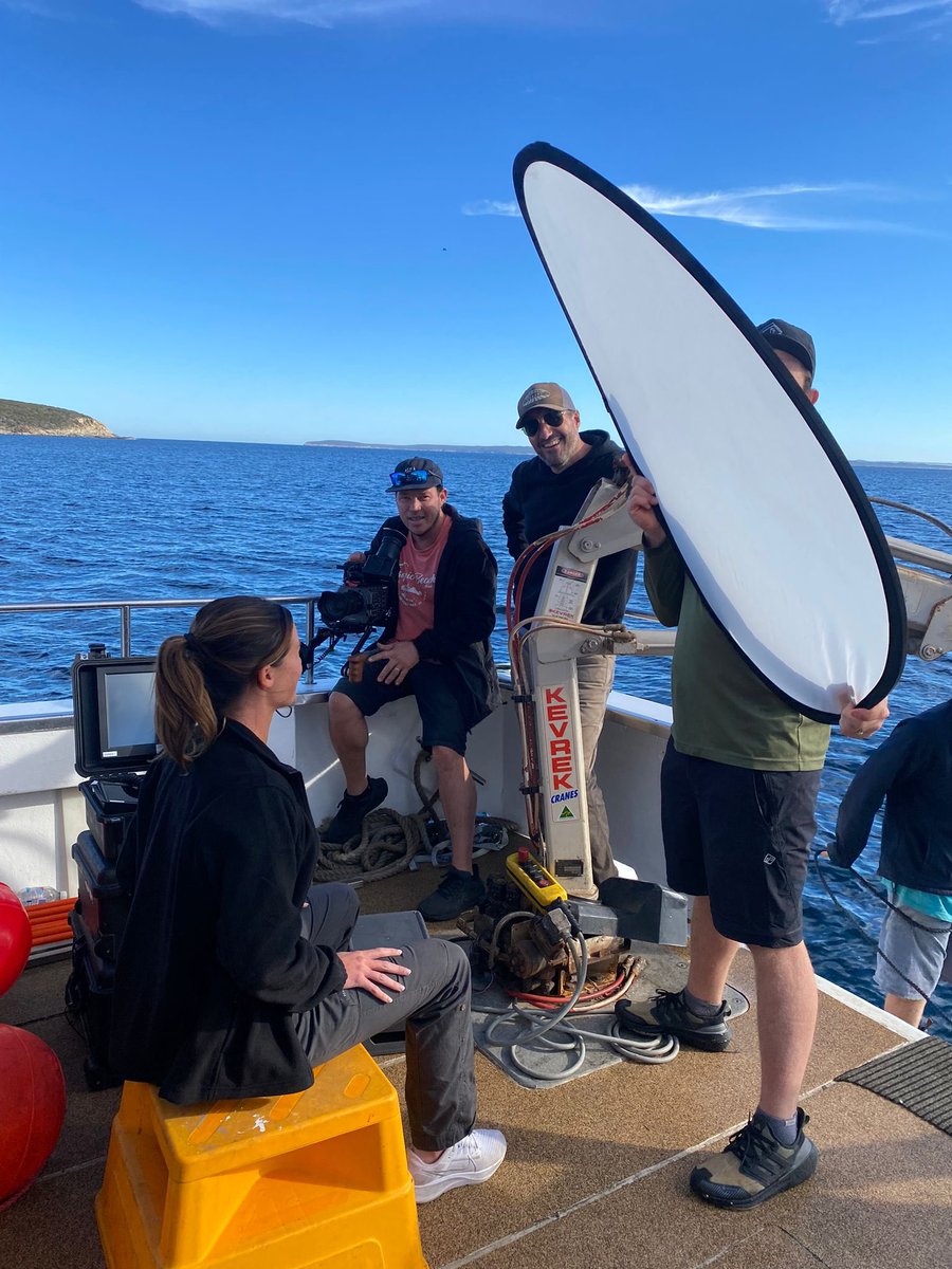 Saving the Blue (@savingtheblue) on Twitter photo Monsters of Oz is about to start on #SharkWeek! You mightttt just see our logo again on <a href="/DrGuttridge/">Tristan Guttridge</a> 🦈 Monsters of Oz is about to start on #SharkWeek! You mightttt just see our logo again on <a href="/DrGuttridge/">Tristan Guttridge</a> 🦈