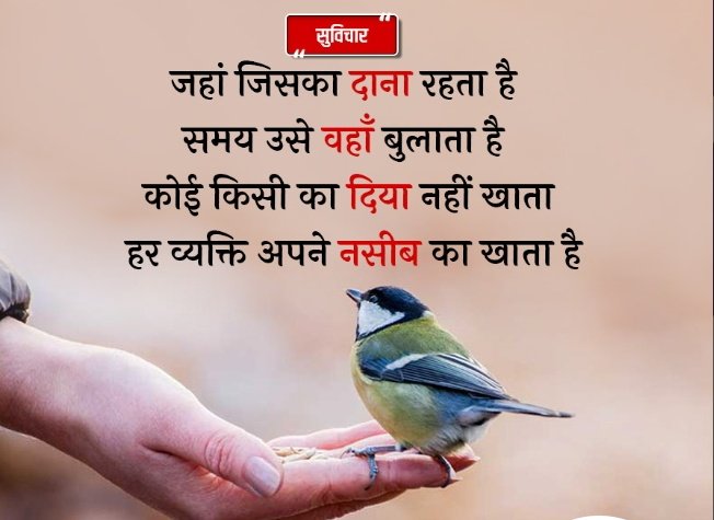 Shubham55599596's tweet photo. Pyari bhara suprabhat sabhi ko##🌄🌅🌄🌅🌄
        Good morning sabhi logo ko
   ####✓😊😊😊
Sabhi repost, like karte jaye https://t.co/MrOyKpWjQs