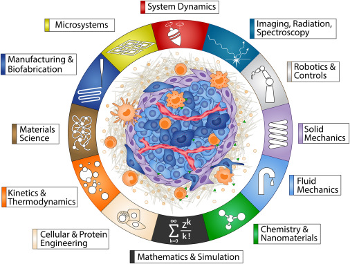 Engineering cancer’s end: An interdisciplinary approach to confront the complexities of cancer dlvr.it/T9TR8P
