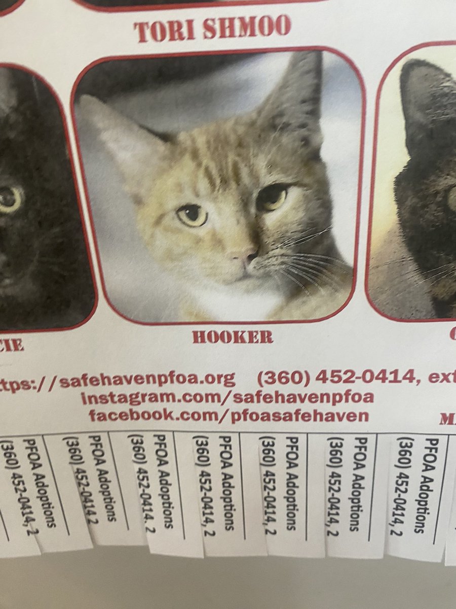 meaniebabies's tweet image. #restful