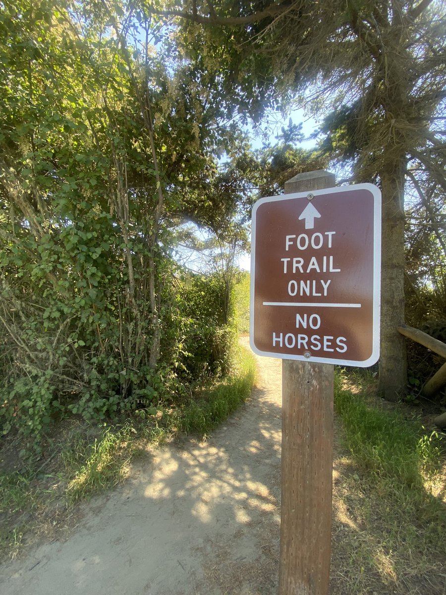 meaniebabies's tweet image. #restful