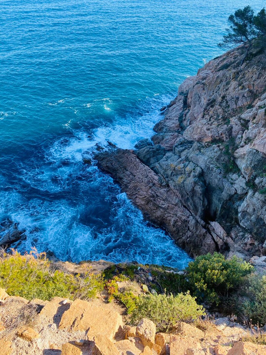 Amy_dubeau (@amy_dubeau024) on Twitter photo 