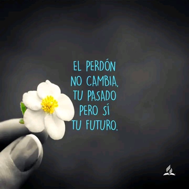 hduben's tweet image. 📍Aprender a #Perdonar es un acto de amor y fe 🙏
Jesús nos enseña a dejar ir el rencor y a abrazar la paz 🤗 
❤️ Permite que tu corazón sea guiado por el perdón, y verás cómo florece tu espíritu 🌸🕊️. 

#Fe #Amor #Perdón #VidaCristiana