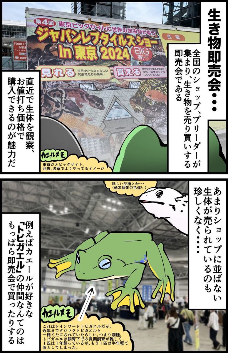 つづき