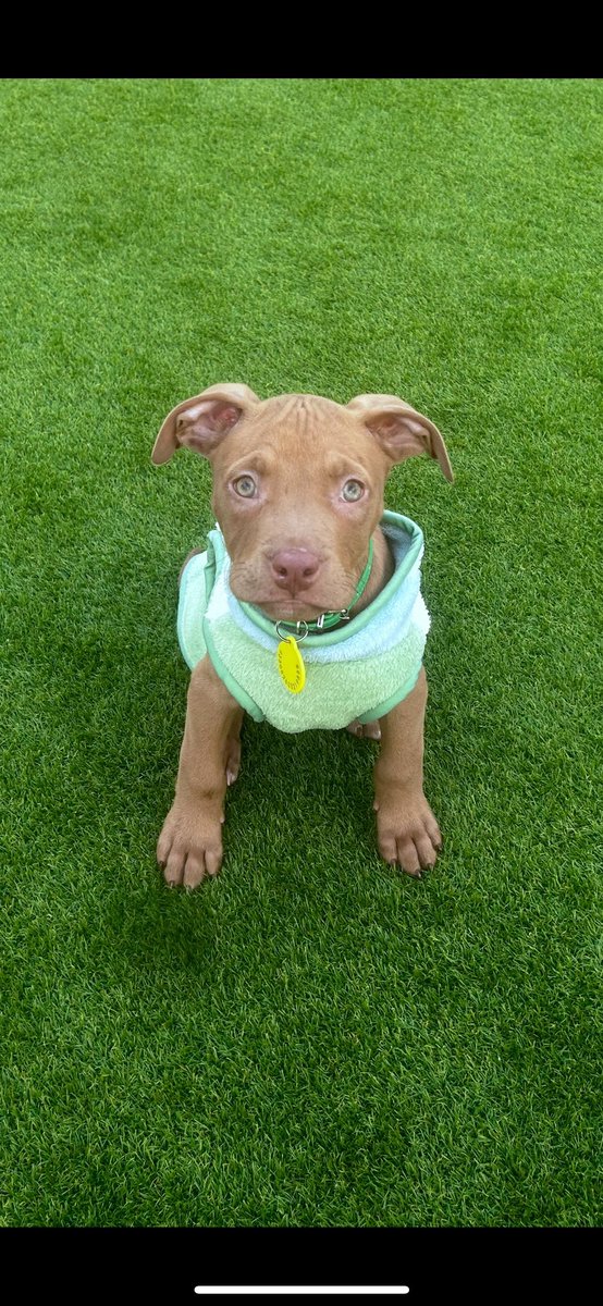 sightz's tweet image. Need more ink but life atm &amp;gt;