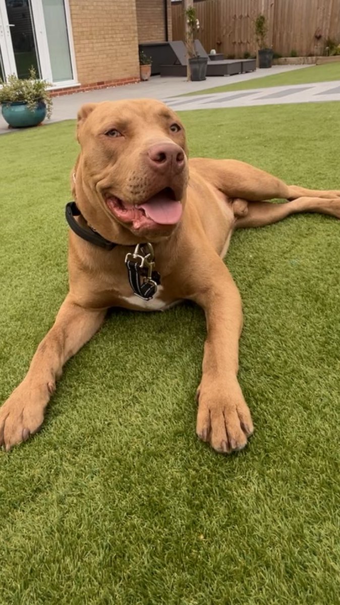 sightz's tweet image. Need more ink but life atm &amp;gt;