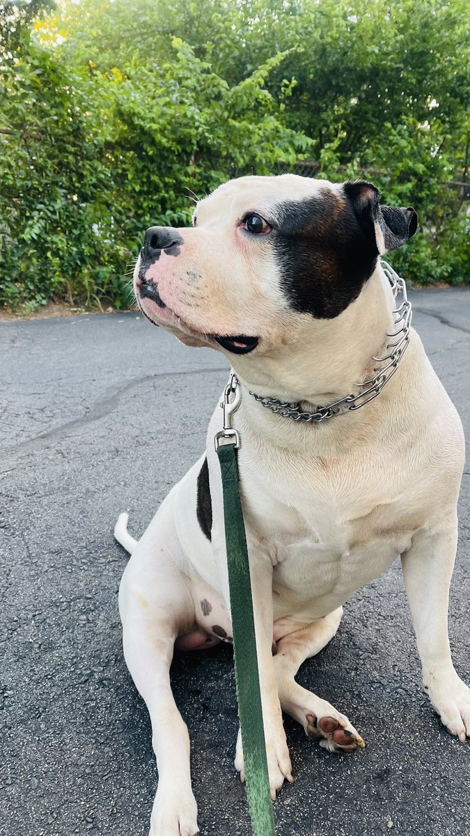 He's like is that a slight breeze I feel 😂🥰
