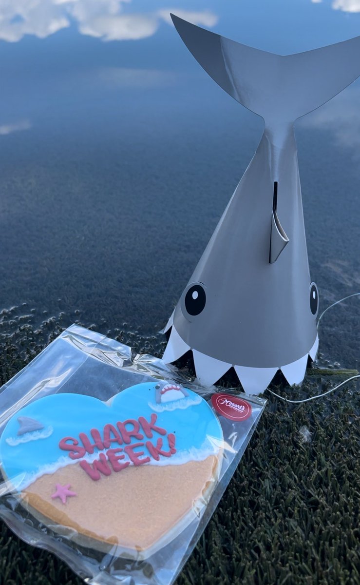 *taps microphone* FREE SHOWING OF SHARKNADO TONIGHT AT 8:30 PM 🗣️

Come join the fin-tastic fun with a Shark Week-themed Movie on the Lake! Special cookies and paddle board rentals are still available!