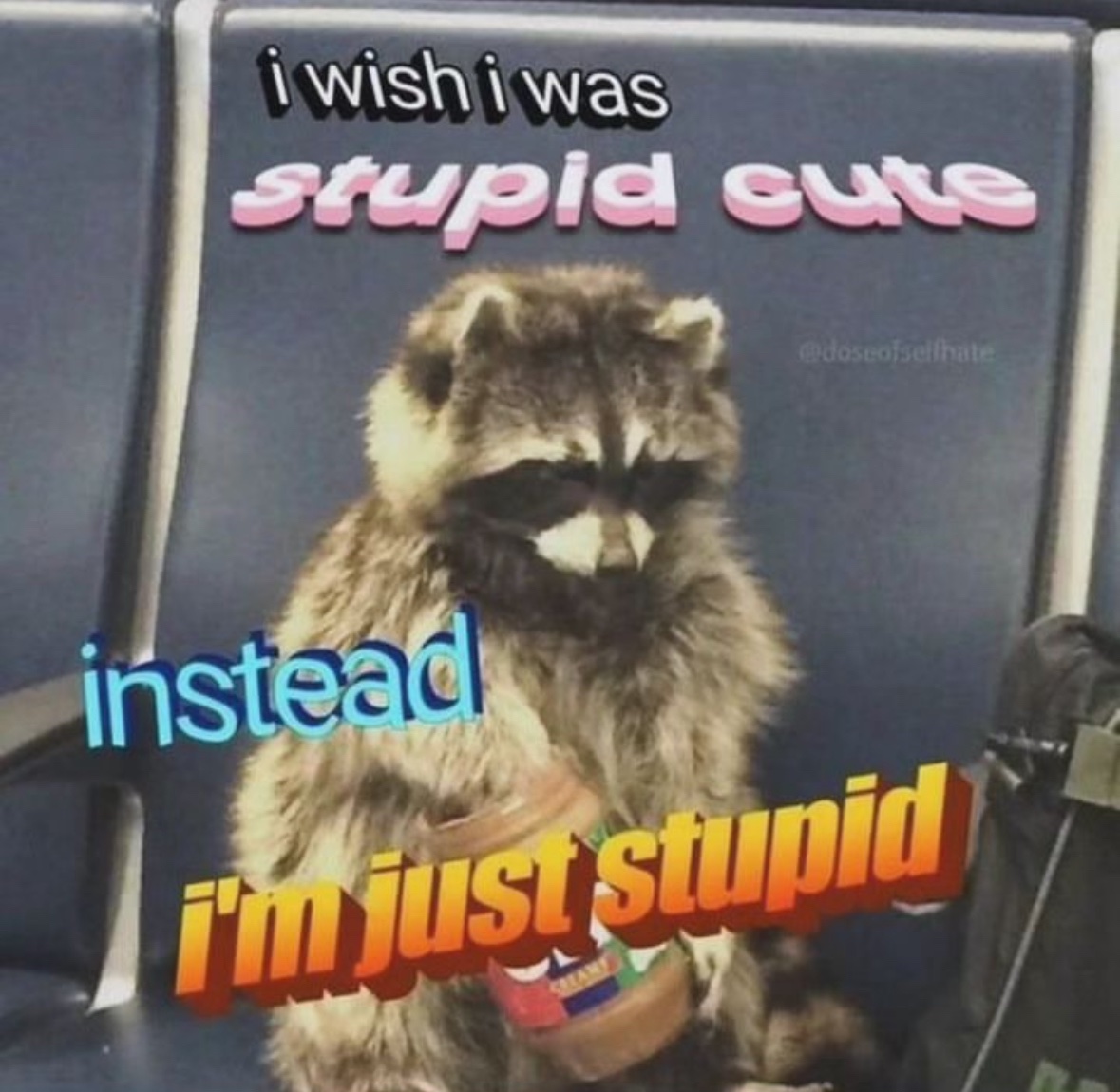 raccoon aesthetic. (@raccoonesthetic) on Twitter photo 