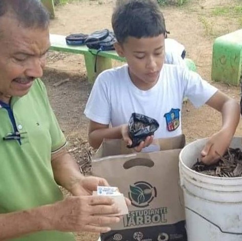 info_mppe's tweet photo. ✅📝 #NotiMPPE | ¡Sembrando conocimiento y amor por el medio ambiente! 🪴🤲
Una comunidad verde florece en la Unidad Educativa Nacional 'Héctor Castillo Reyes' con el programa un estudiante un árbol.
Cortesía: ➡️ @cdcelara
@_LaAvanzadora
@MPPEDUCACION
#KeLacreoLaPoesia https://t.co/7dEWwH8yCJ