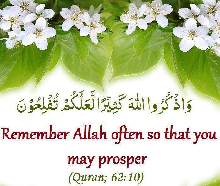 Tanveermalik231's tweet photo. @ZairaWasimmm "Remember Allah often so that you may prosper. "
–Qur'an |62:10
💐❤🌹 https://t.co/nyt93iwIP6
