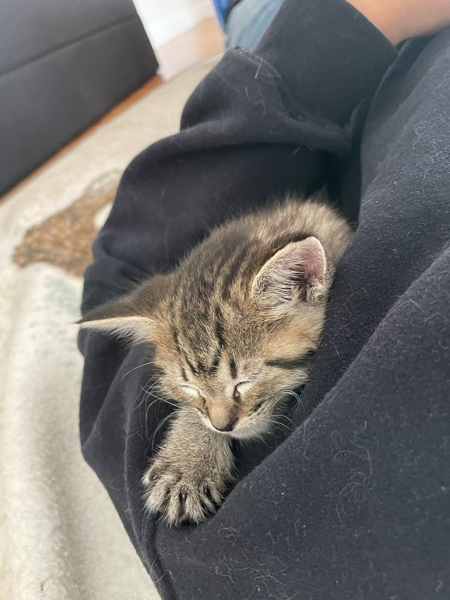(Should I post more baby bean? She was so grown up by the time she learned to tweet)