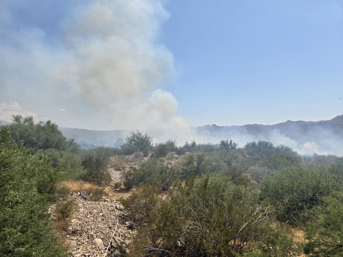azstateforestry's tweet photo. The #RayFire and #ShakeFire near Kearny are both 100% contained.
🔥Ray Fire - 64 acres
🔥Shake Fire - 53 acres - decrease in acreage due to more accurate mapping.
Both fires started Tuesday, July 9, approximately one mile north of Kearny. The fires started within hours of one another on the southwest side of SR 177 within a drainage.
#AZFire #AZForestry #PinalCounty