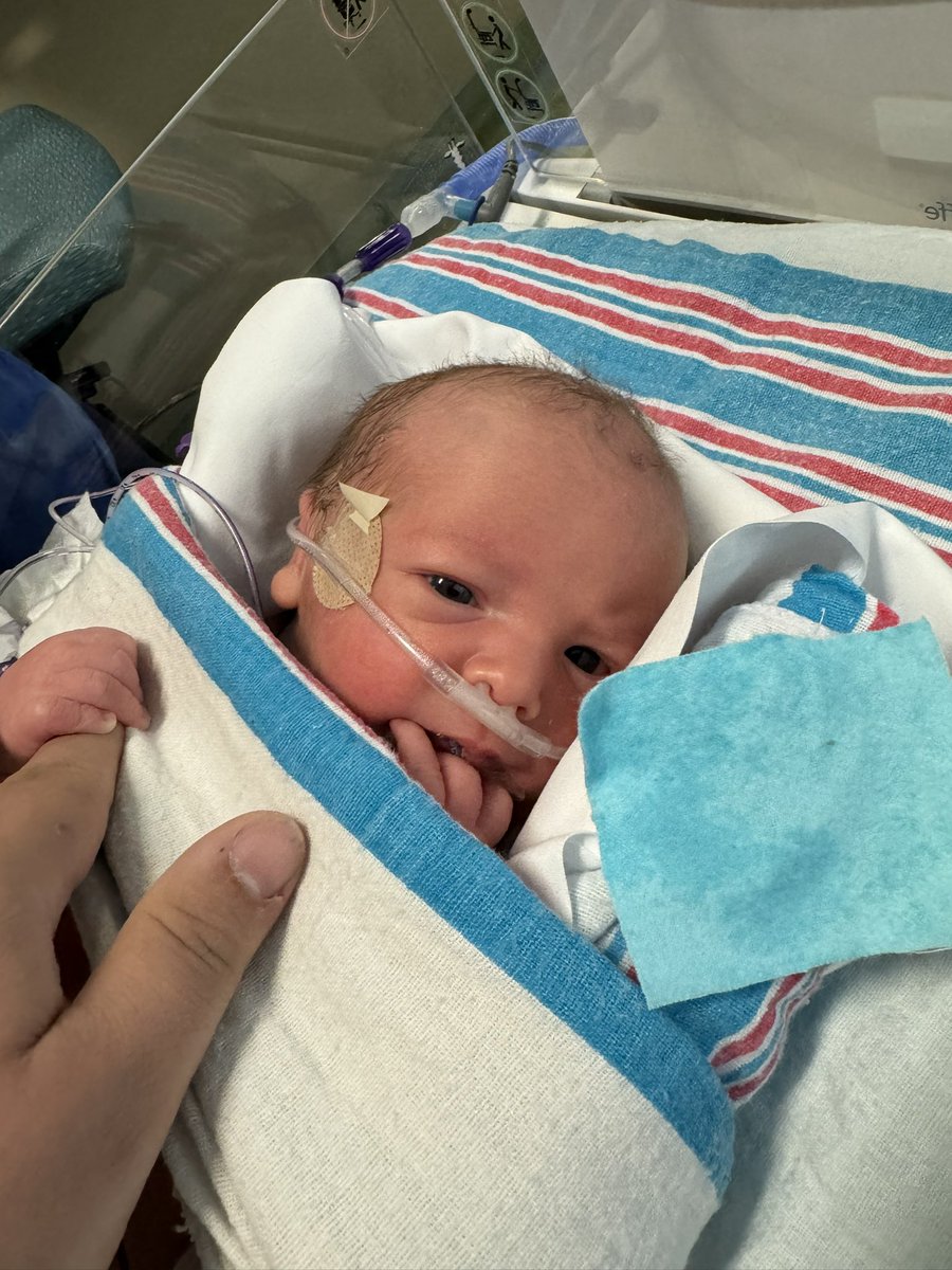 Craig_Addict's tweet image. Gaming is taking a backseat, but egleast i have two agility bots in afew years