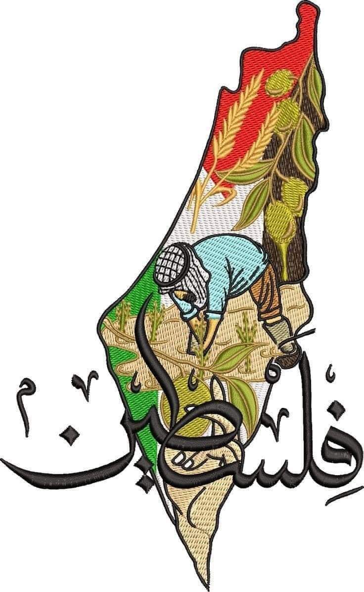 ammar 🍉 tweet media