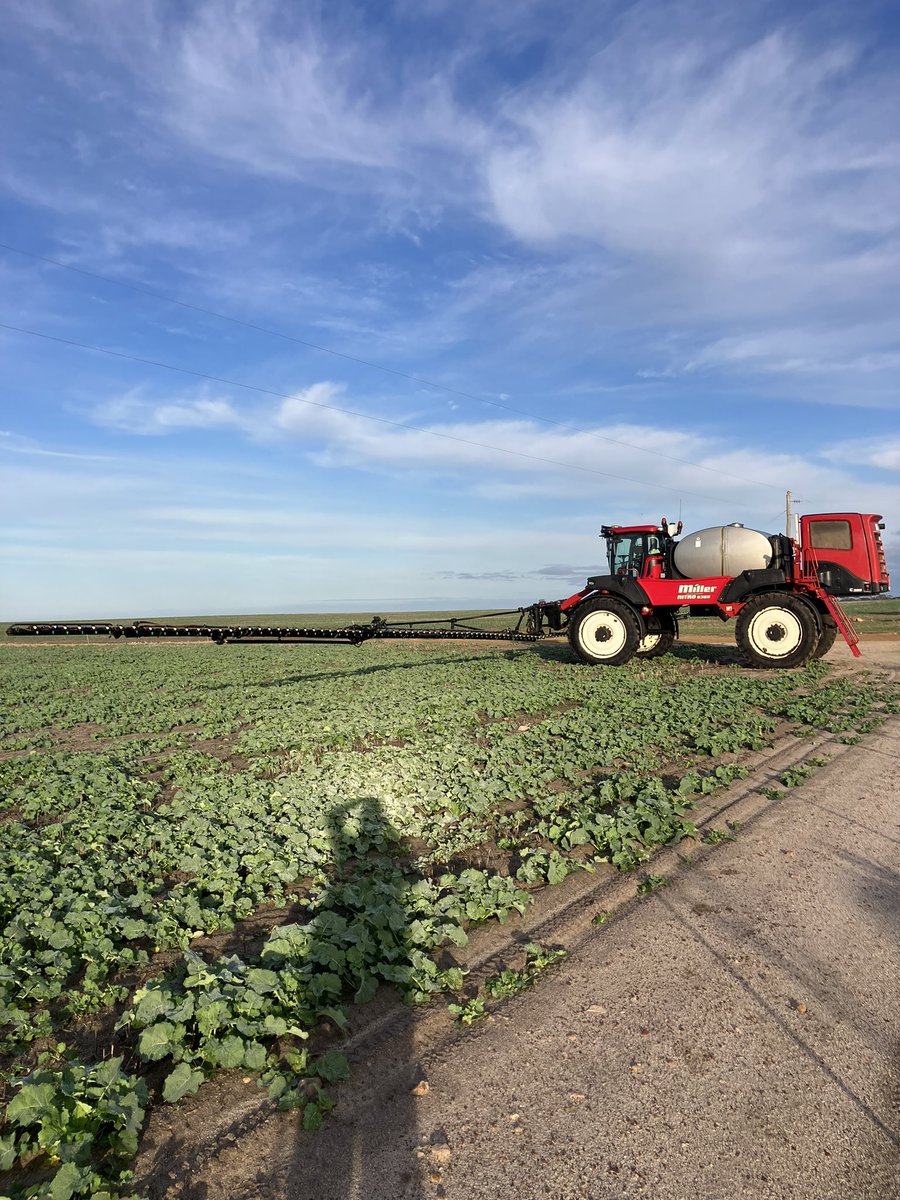 Just waiting for it to dry up a bit. Glufosinate Gly mix going on LR 4540P