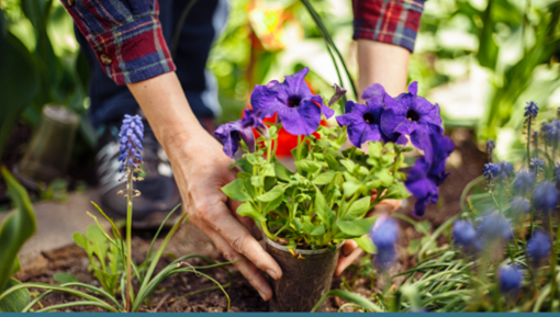 lifevineyard.church/events
The Church Has Left The Building Projects // Saturday 13th July + Sunday 14th July // Sign up NOW

Chase Park, Whickham