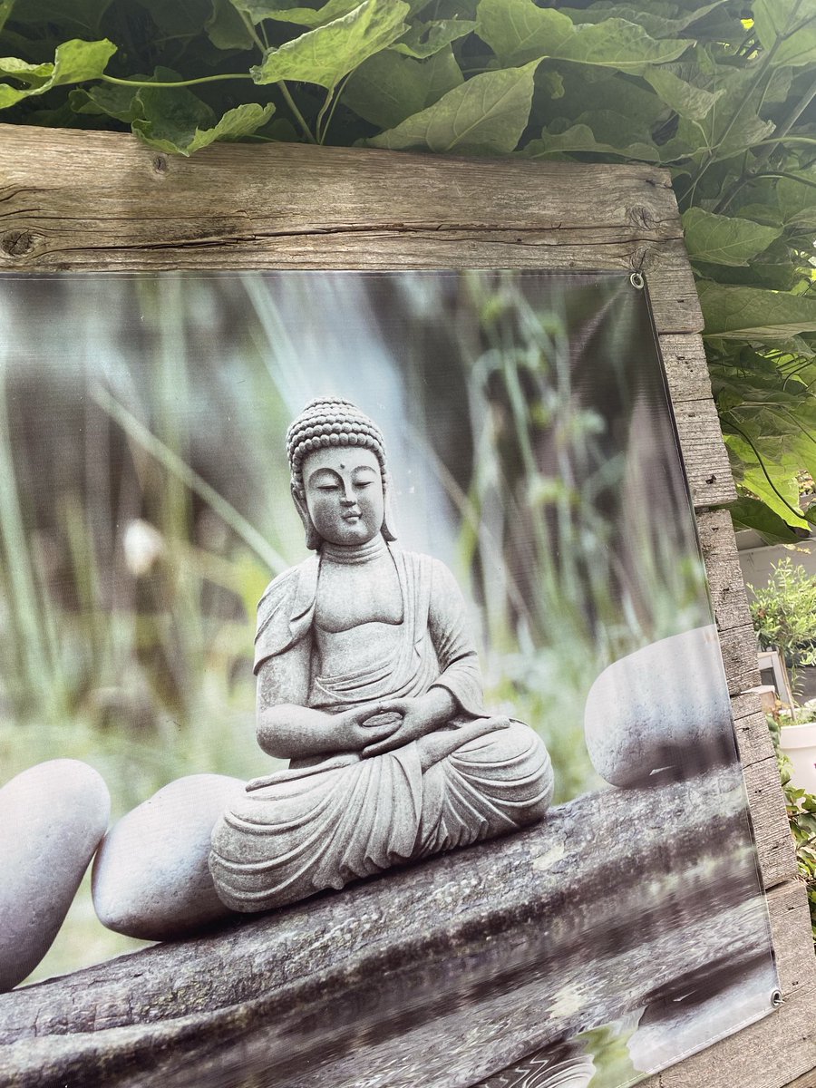 estherroddav's tweet photo. 🧘🏼
Goedemorgen.
#zen #ontspan #relax
#posterinmijntuin #rustpunt #bewust #aandacht #stilte https://t.co/6u0wkG4eVM