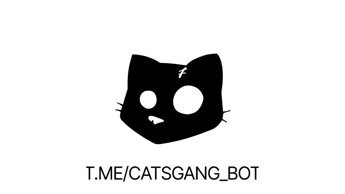 Cats tweet media