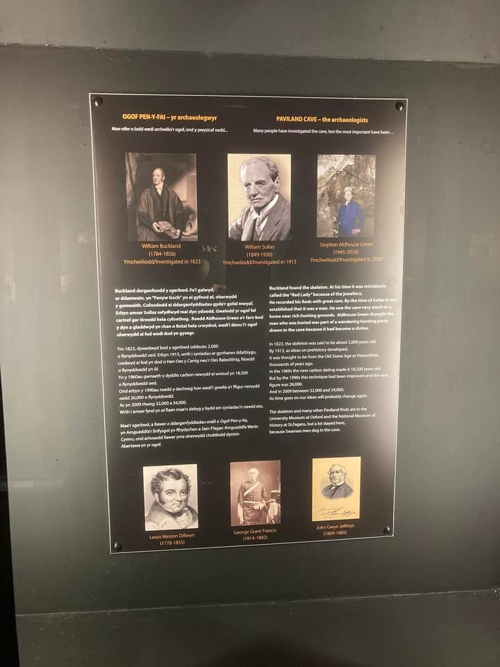 PavilandFutures's tweet photo. The replica Paviland bones at Swansea Museum

There are many original artefacts at Swansea museum from Paviland cave including flints and animal bones but not ‘The Red Lady’, a 33k year old ice age hunter whose remains are in Oxford University.

Bring the bones back! https://t.co/dRpJYscQFS