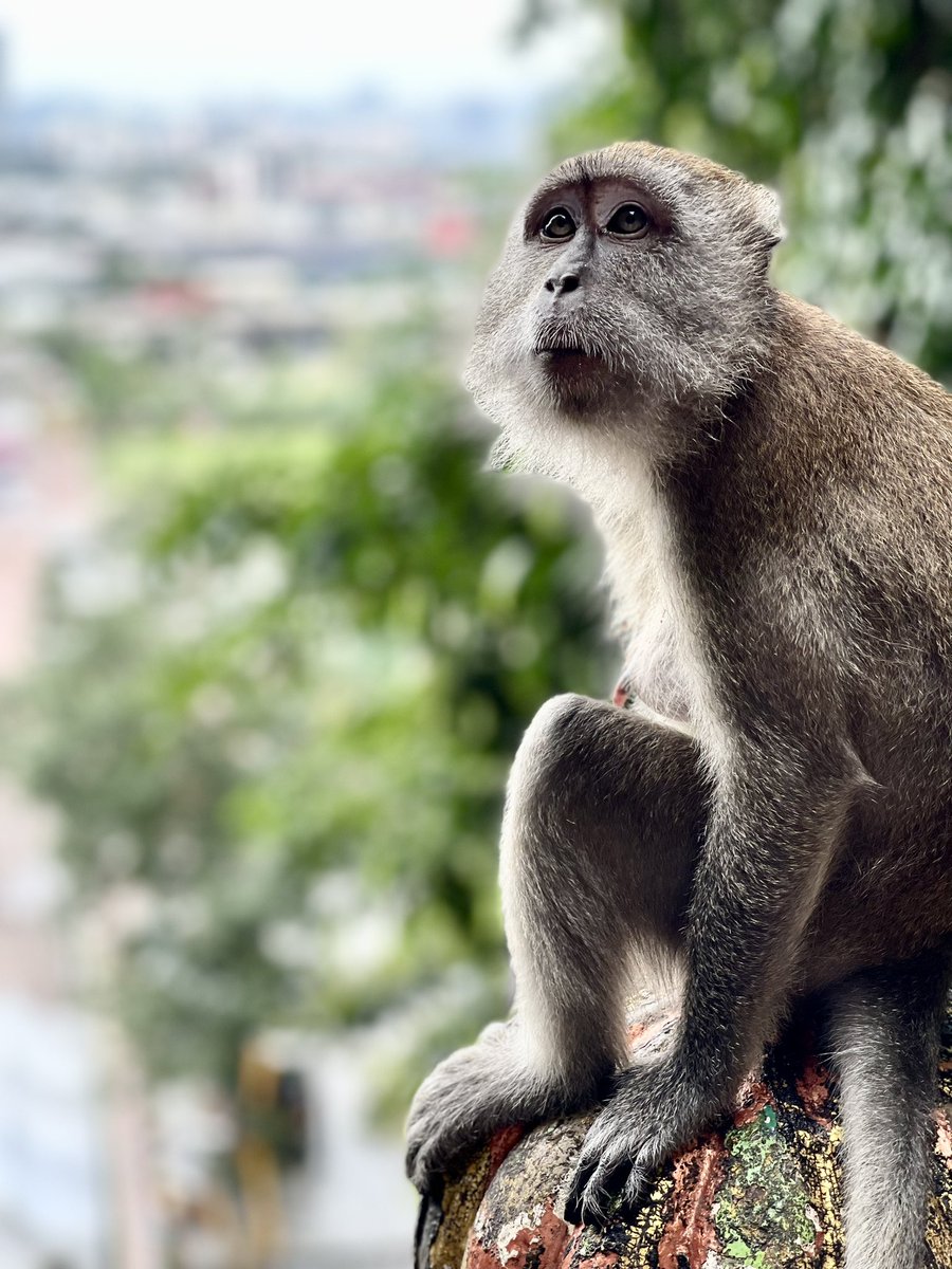 Naseer Ahmad tweet media