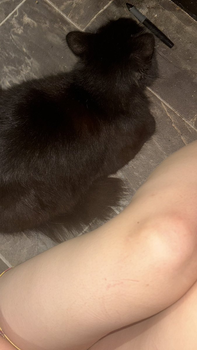 kitty