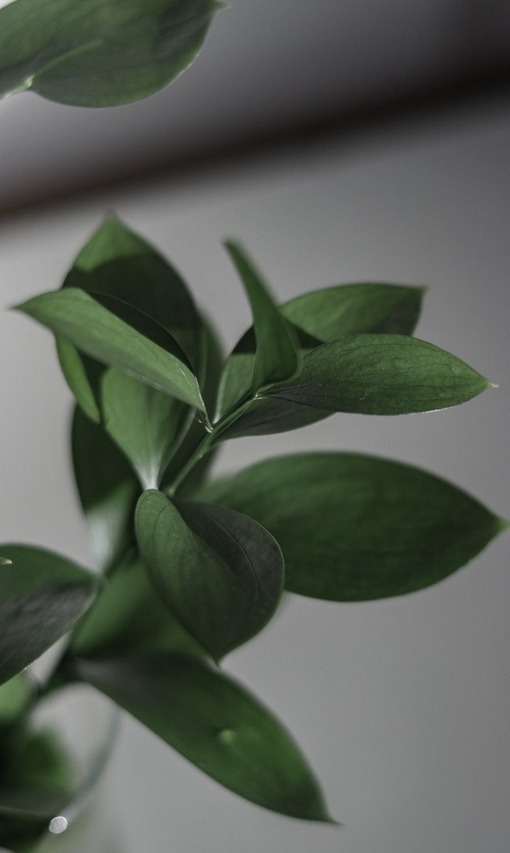 ananana68's tweet photo. الطمأنينة فِي ظِلهِ.. ☕🍃 https://t.co/5hcKdvmCCf