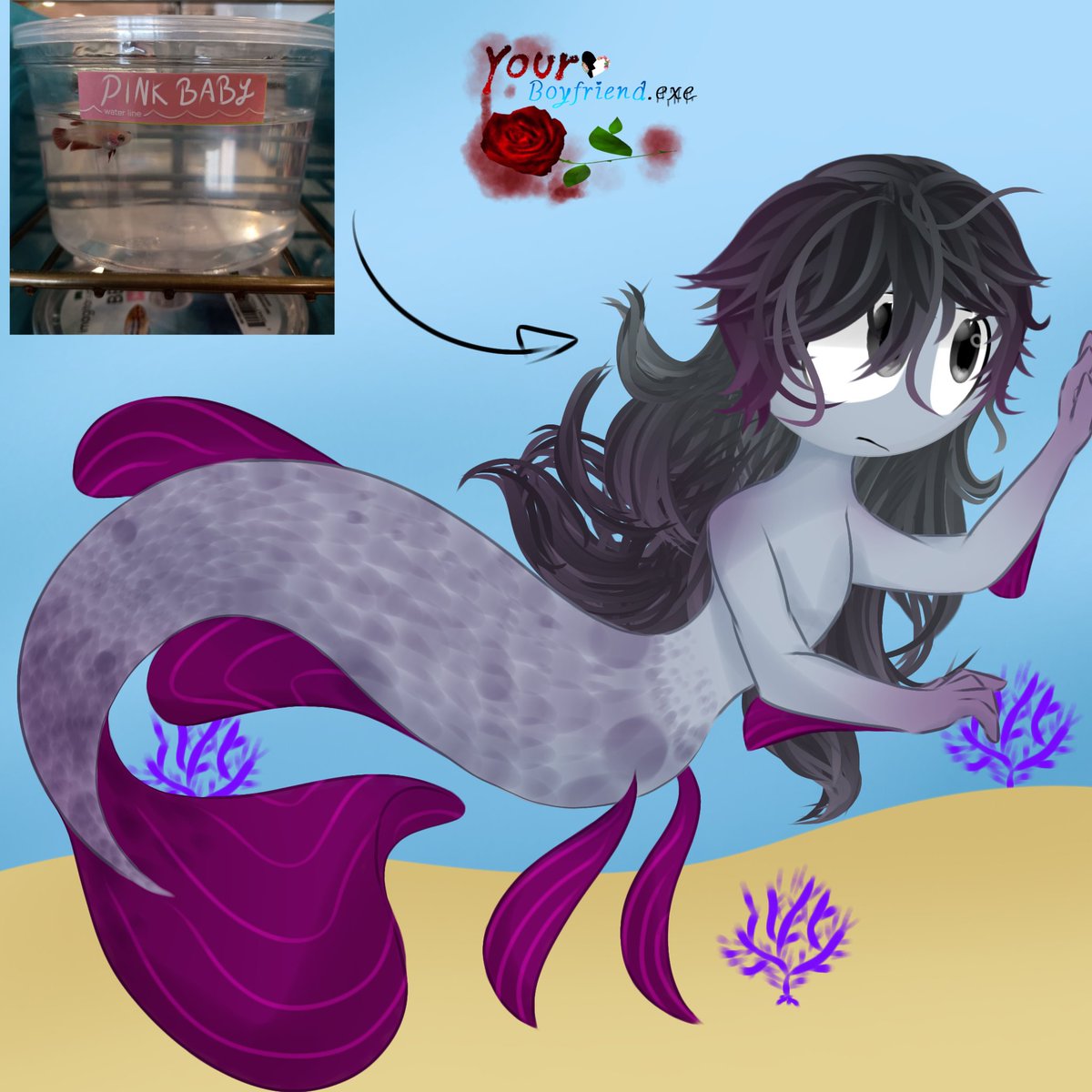 dark_cit70199's tweet photo. No encontré la publicación de los peces pero bueno 😥🍷
#YourBoyfriendGame #Peter
#AUYB #fishes #Acuario #Babyfish #YNSONA https://t.co/qRJOWMzdBI