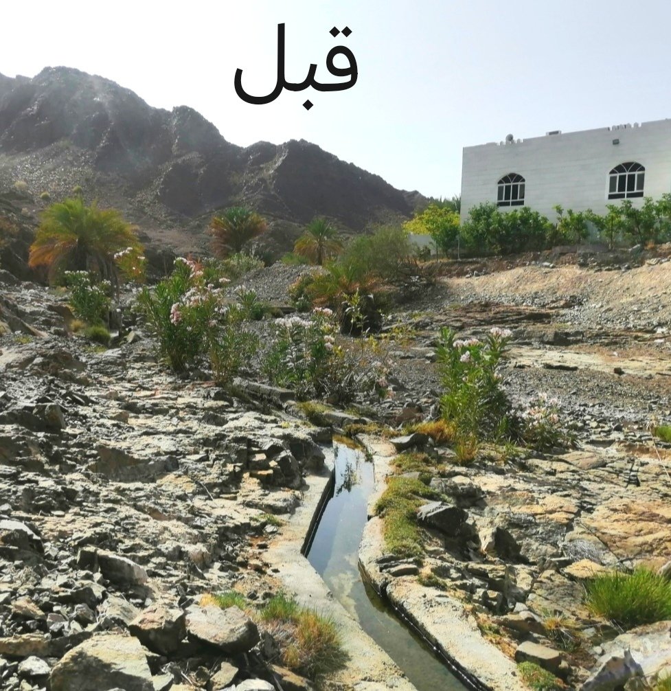 ... (@xwlkm2hla50b1fw) on Twitter photo نشكر المعنيين بوزارة <a href="/MAFWR_OM/">وزارة الثروة الزراعية والسمكية وموارد المياه</a> <a href="/mafwr_sh/">م.ع. للثروة الزراعية وموارد المياه بشمال الشرقية</a> وعلى رأسهم معالي الوزير ، على الجهود لإعادة صيانة الأفلاج ، وقد حظيت محافظة شمال الشرقيه لصيانة ٥٦ فلجاً و من ضمنها فلج بلدة الجروله بولاية إبراء ، وهاذي صور من فلج بلدة الجروله قبل و بعد الصيانه ، بوركت الجهود.. نشكر المعنيين بوزارة <a href="/MAFWR_OM/">وزارة الثروة الزراعية والسمكية وموارد المياه</a> <a href="/mafwr_sh/">م.ع. للثروة الزراعية وموارد المياه بشمال الشرقية</a> وعلى رأسهم معالي الوزير ، على الجهود لإعادة صيانة الأفلاج ، وقد حظيت محافظة شمال الشرقيه لصيانة ٥٦ فلجاً و من ضمنها فلج بلدة الجروله بولاية إبراء ، وهاذي صور من فلج بلدة الجروله قبل و بعد الصيانه ، بوركت الجهود..
