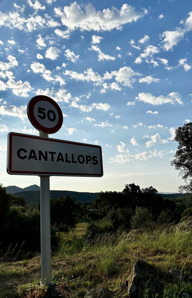 Esquerra_ERC's tweet photo. 📍 https://t.co/zAVkpKFoGk