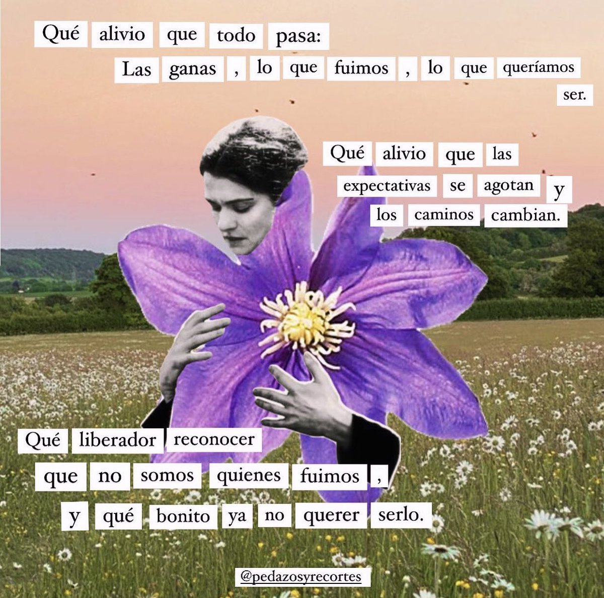 anasofiaguemez's tweet photo. 💜 https://t.co/zCdoFTQETP