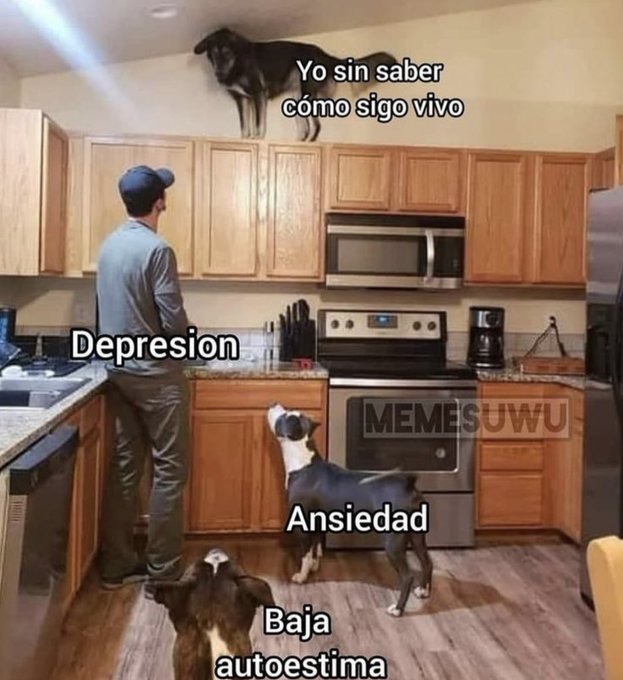 Thru the power of memes I will once again become bilingual  A trav&eacute;s del poder de los memes volver&eacute; a