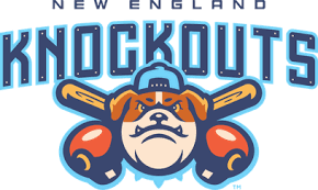 5-5
2 runs scored
3 RBI's
3 Stolen Bases
Games like this are very rare in professional baseball. 
Well Done, Victor Castillo