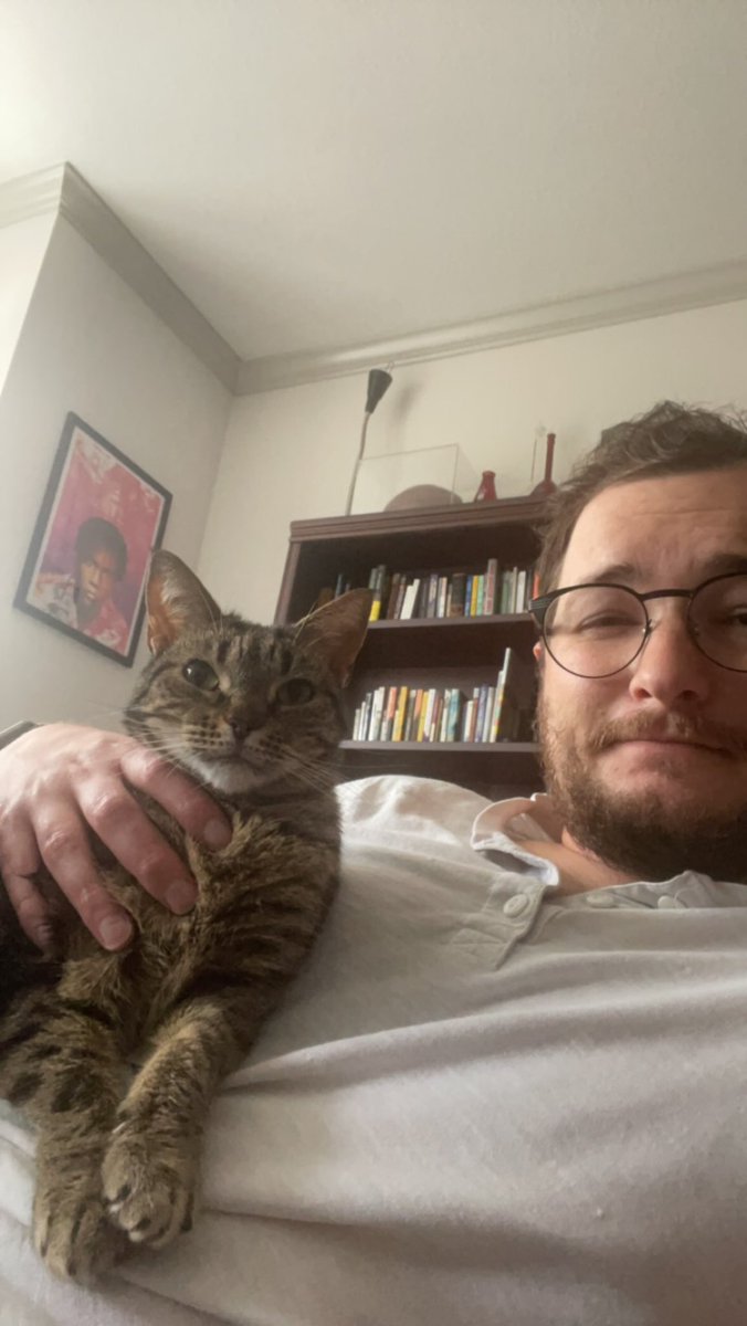 TwoSeamNock's tweet photo. I gotta say. I have to recommend adopting a cat off the street. https://t.co/OGFIJdAr1w