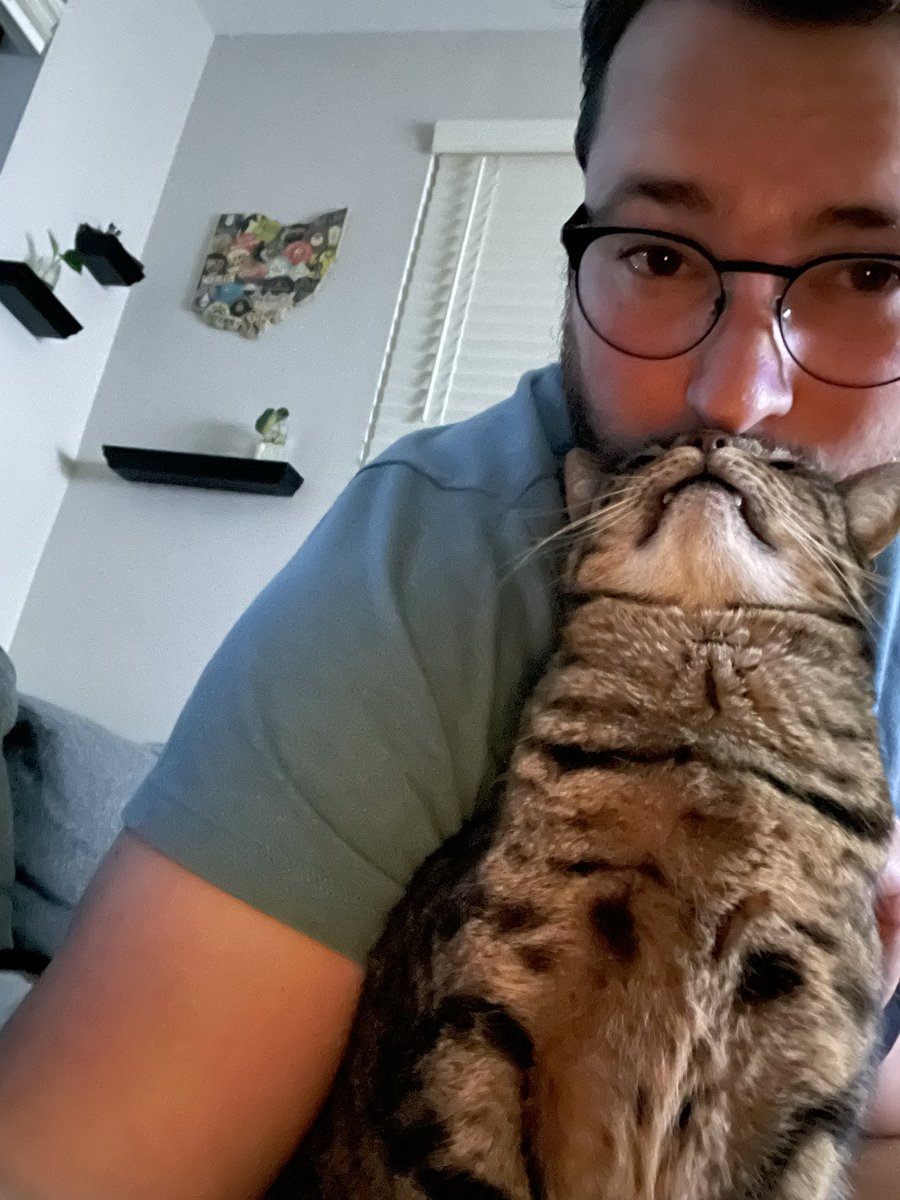 TwoSeamNock's tweet photo. I gotta say. I have to recommend adopting a cat off the street. https://t.co/OGFIJdAr1w