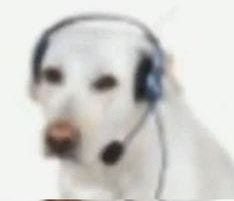 mjto_o's tweet image. A puro raro le gusta la gelatina de mosaico