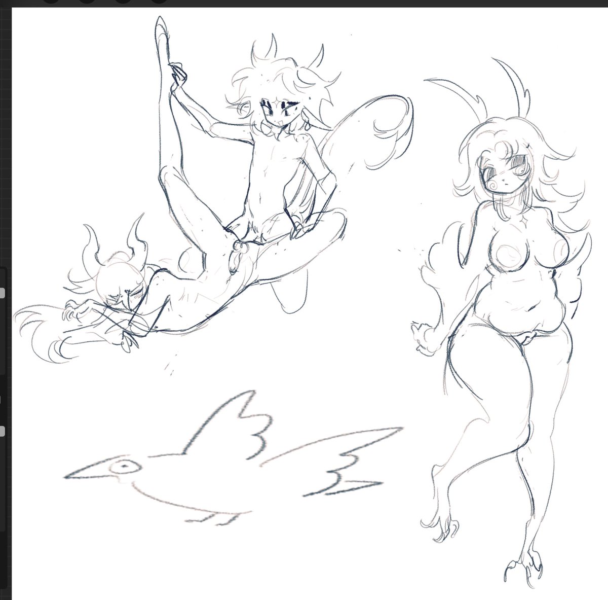 some sketches ………and a big fucking bird