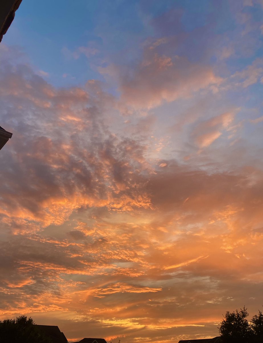 Amara (@bwyche11) on Twitter photo 