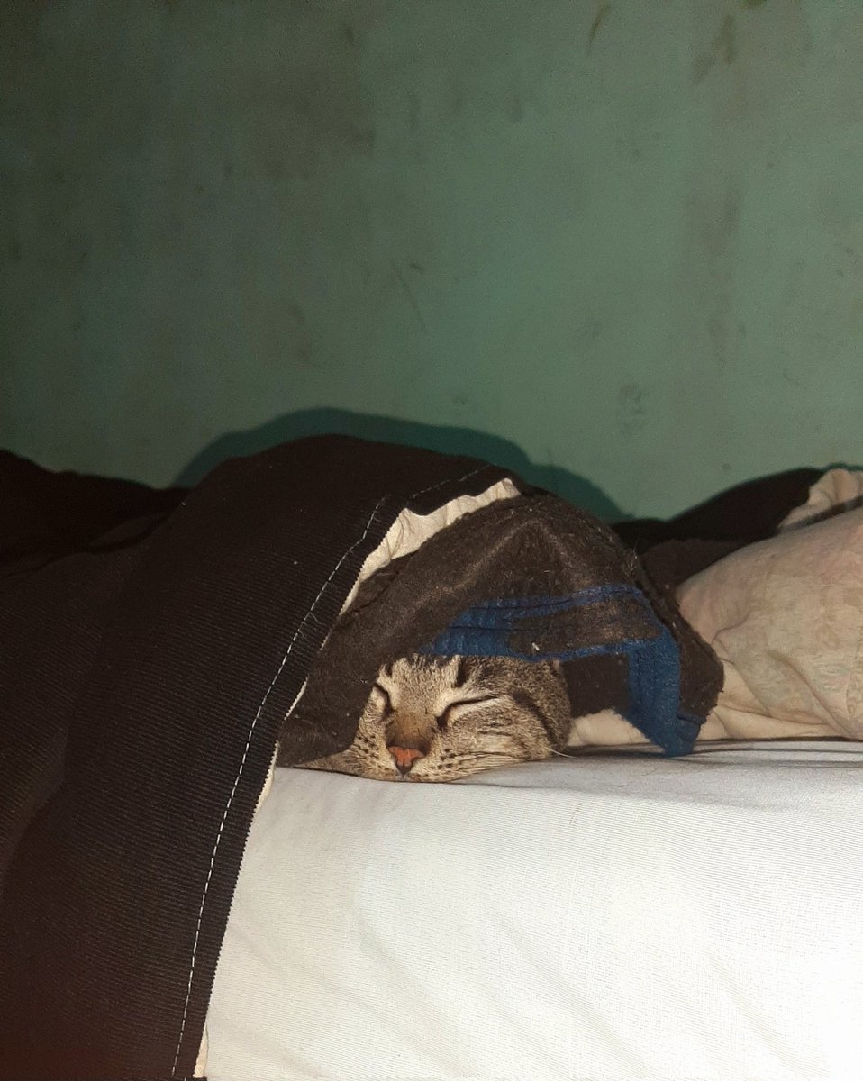 Te amo carlitos 💖